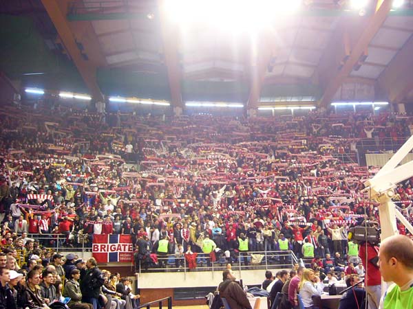 [Image: 05.jpg]