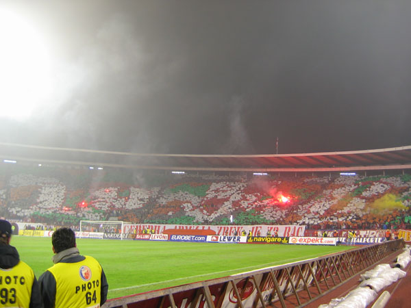 [Image: 99.jpg]
