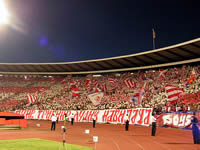 [Image: _thb_7.jpg]