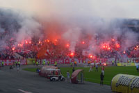 [Image: _thb_delije19.jpg]