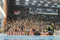 gal/2011-2012/CZ_partizan_vaterpolo/_thb_delije05.jpg