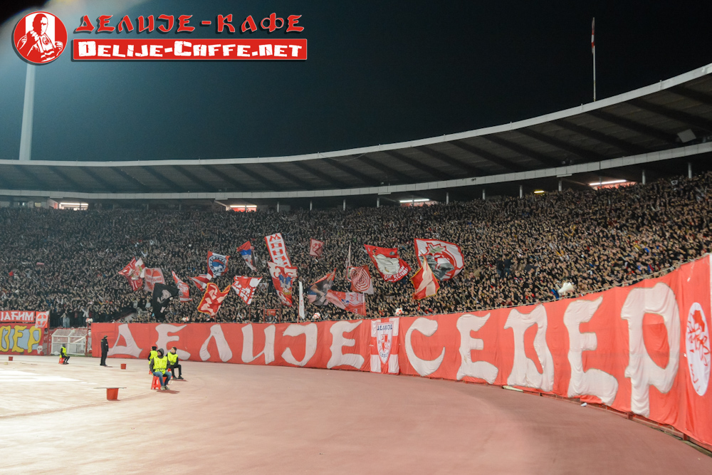 gal/2024-2025/cz_barselona/delije11.jpg