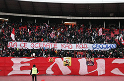 gal/2024-2025/cz_radnicki_kg/_thb_delije02.jpg