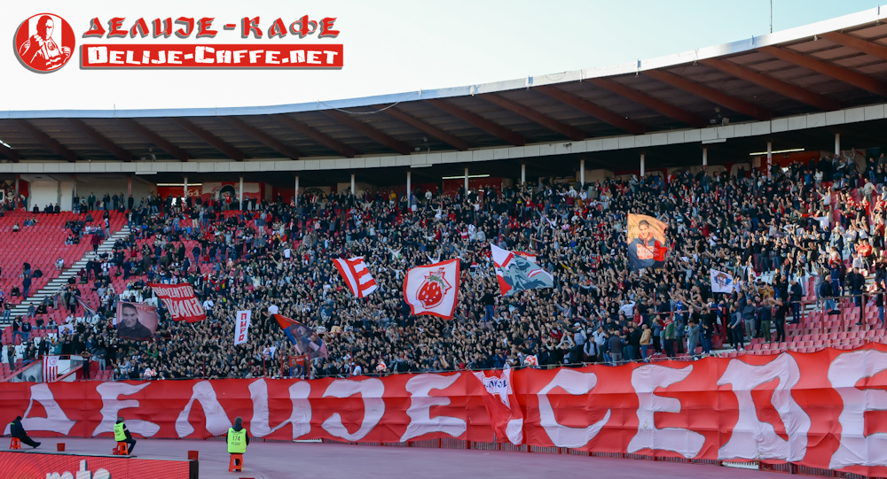 gal/2024-2025/cz_radnicki_nis/delije03.jpg