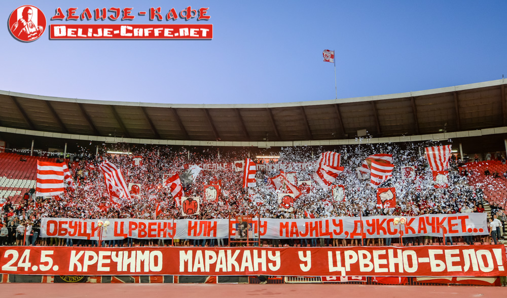 gal/2024-2025/cz_vojvodina_3/delije06.jpg