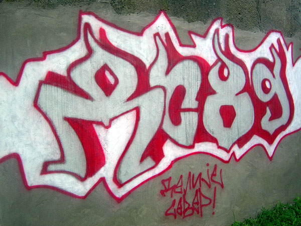 gal/grafiti/ds89.jpg