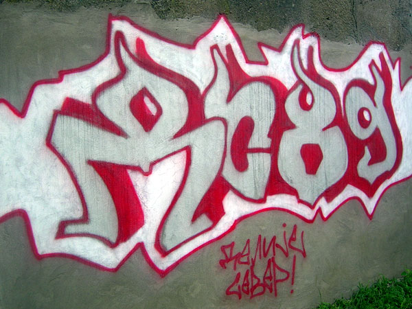 [Image: ds89.jpg]